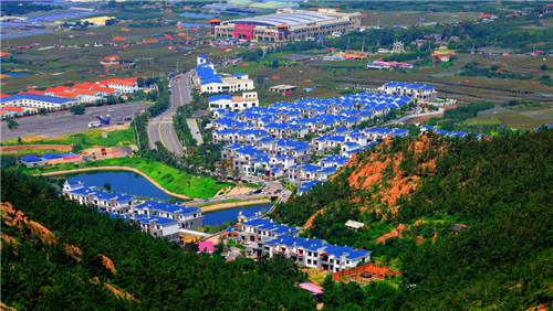 青岛城阳惜福镇街道精准发力 擘画乡村振兴新画卷