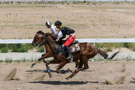 《全国马产业发展规划（2020—2025年）》解读