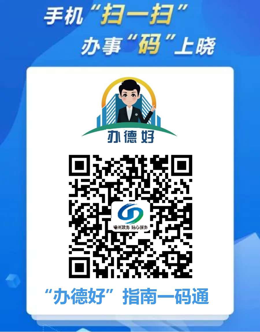 手机“扫一扫” 办事“码”上晓德州市推出“办德好”指南一码通