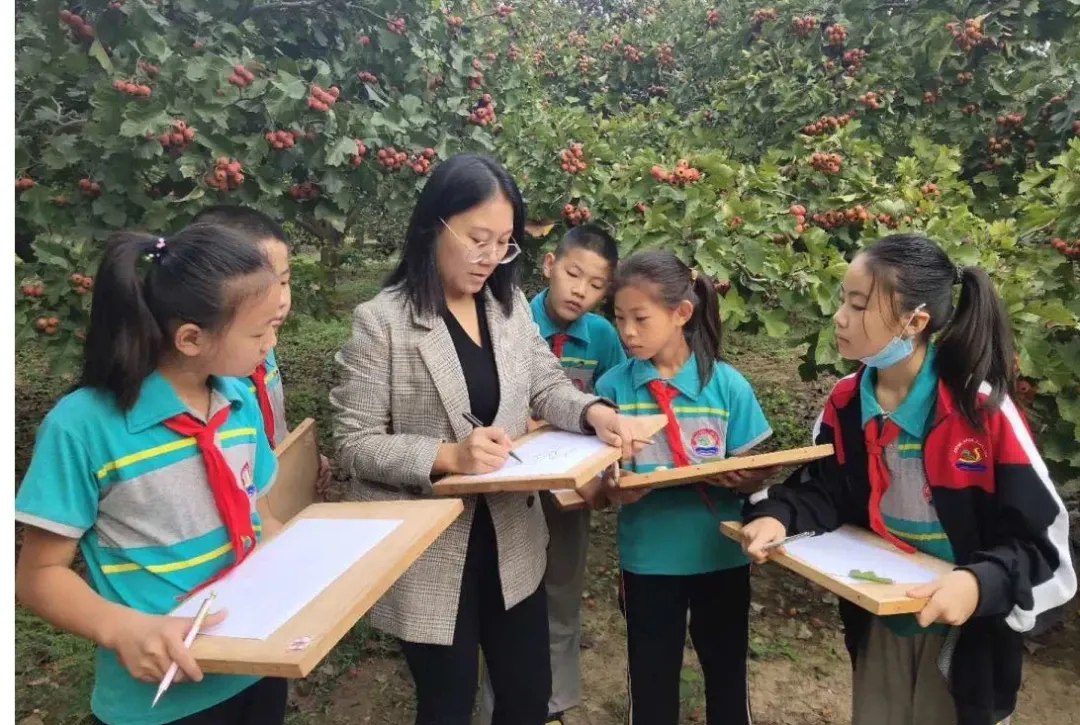 飘香在山楂林中的美术课堂——张申小学开设“果蔬育人”特色课程