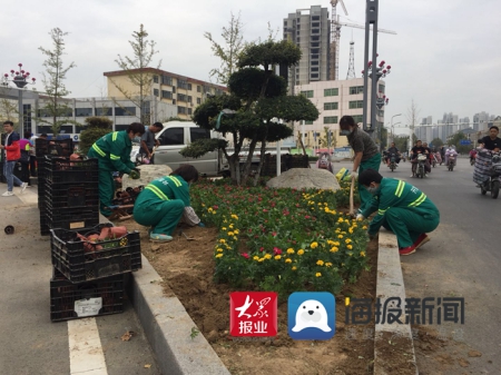 欢喜迎双节！鲜花绿植扮靓菏泽街头