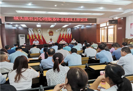 城头镇积极推进社会心理服务体系建设工作