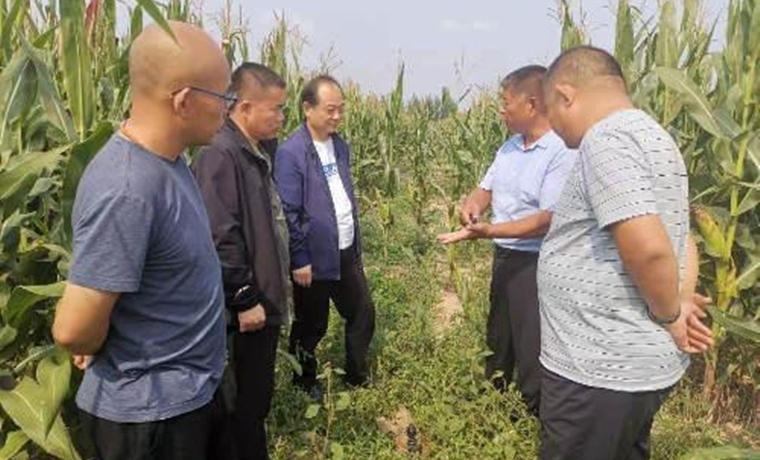 激发农技人员创新创业临邑：“农技VIP助力”乡村振兴