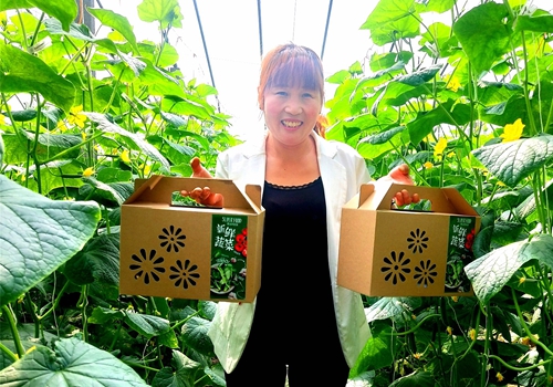 郯城：“扶贫大棚”新鲜蔬菜专供“双节”市场