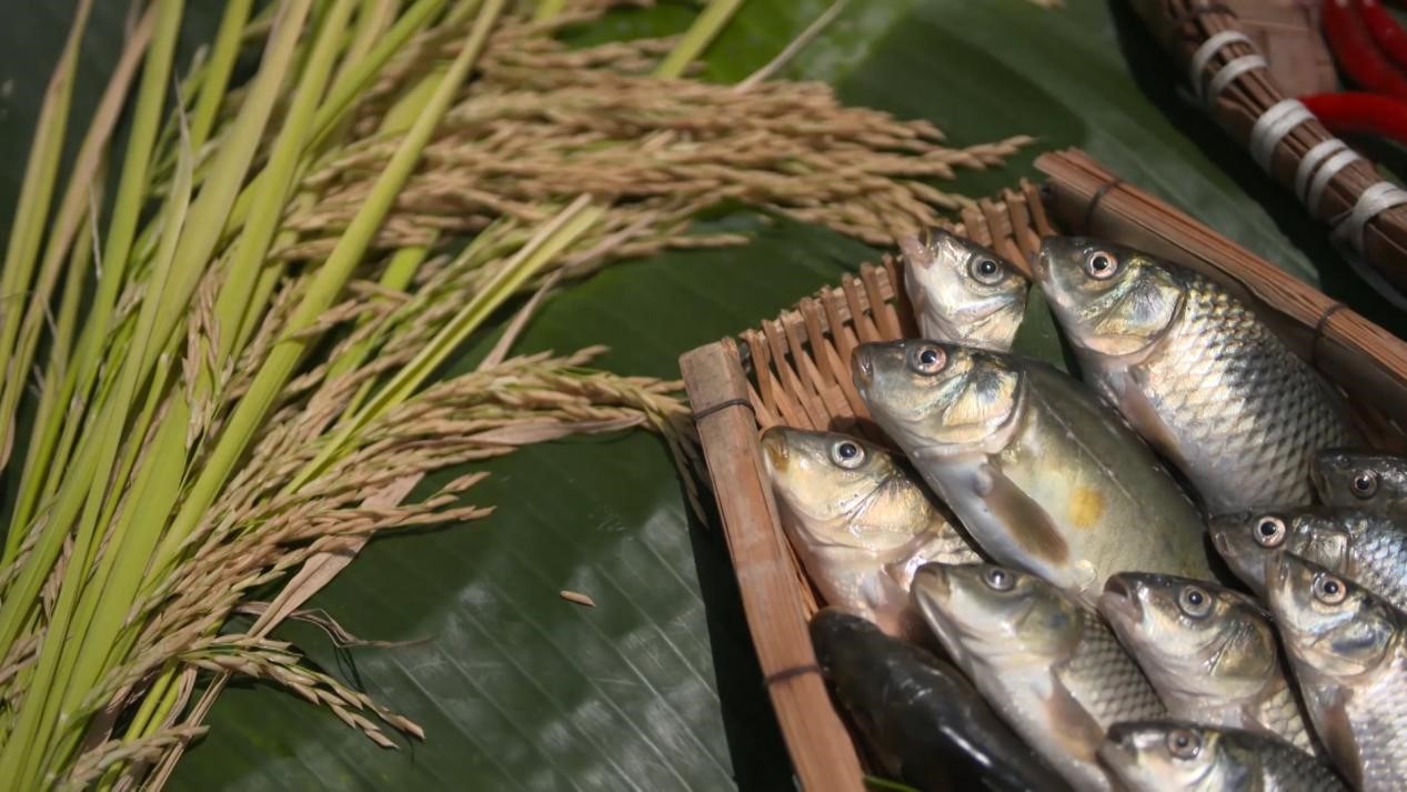 20200930162501990.jpg 20200930162501990.jpg