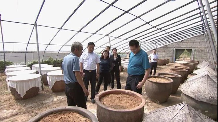 市委书记张新文到成武县调研酱菜产业发展情况