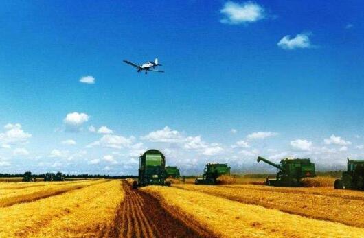 2022年黑龙江六项重点举措保障粮食安全