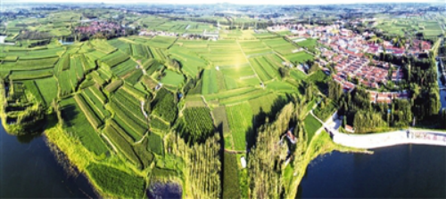 一统领三统筹 提速乡村振兴