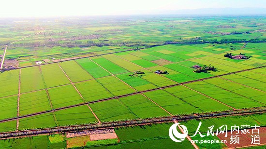 20201012093243929.jpg LOCAL202010101154000430042317773.jpg