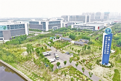 开放的青岛，鼓荡城市跃迁澎湃浪潮