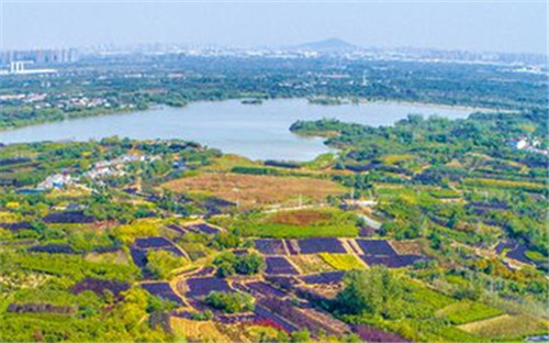 安徽新增9个地理标志农产品 总数达到101个