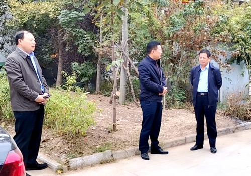 郯城县政府副县长李晓法到归昌乡督查农村人居环境整治工作