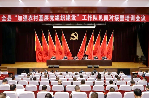 郯城县召开全县“加强农村基层党组织建设”工作队见面对接暨培训会议