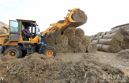秸秆回收 变废为宝