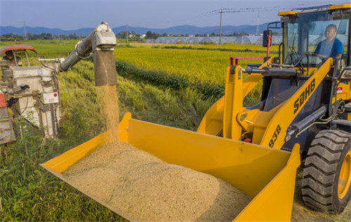 安徽省收获秋粮进度过六成