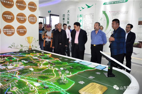 “远见卓识”——著名导演高度评价《抱犊风云》临沂剧组工作的开创精神