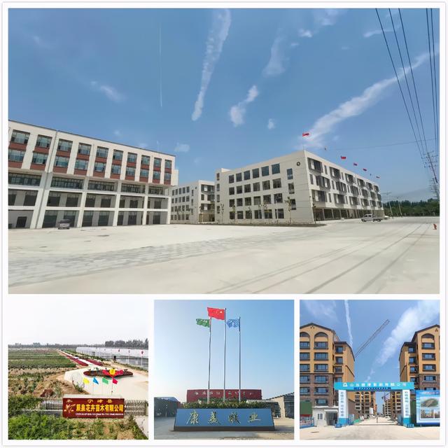 宁津县大柳镇：党建引领 改革创新 探索发展新模式