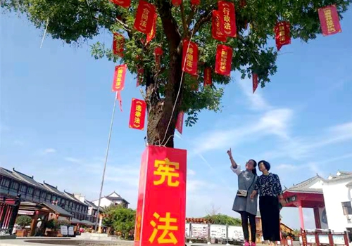 郯城县马头镇：百年古槐结出“树法”硕果