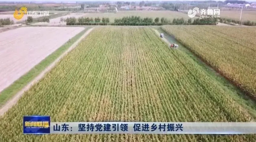 德州实行村党组织领办土地股份合作社 农民、集体实现“双增收”