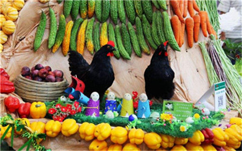 农交会今天开幕 农特产怎么选？请看攻略