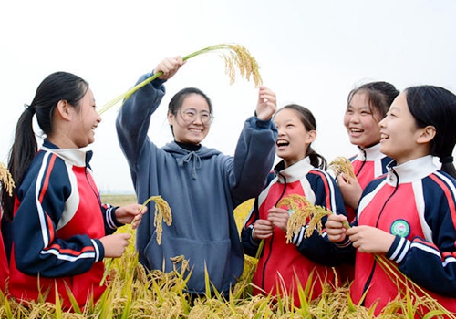 郯城县讲好“一粒米”的故事，唤醒学生节粮意识