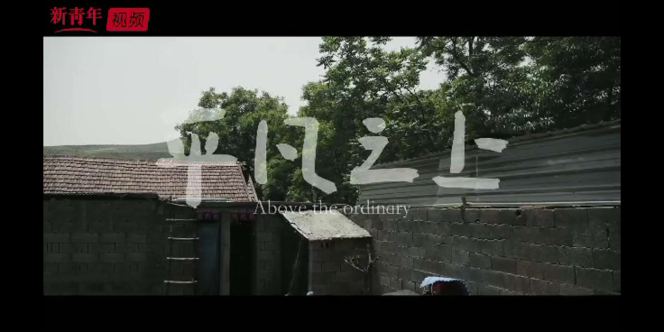 视频 | 平凡之上