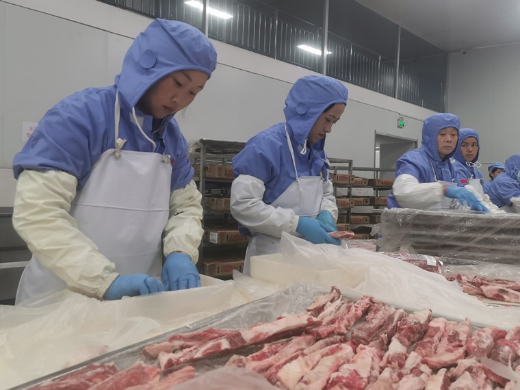 菏泽沙土镇：技改扩能效益增