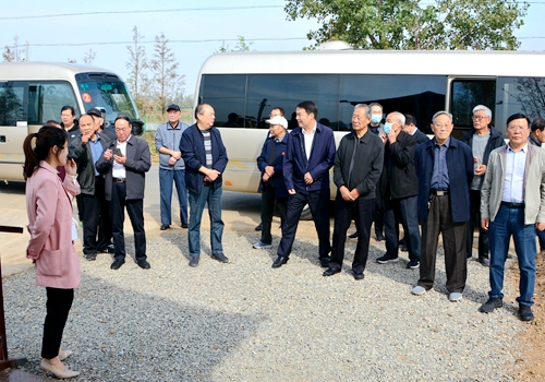 郯城县委组织部组织老干部到归昌乡参观考察