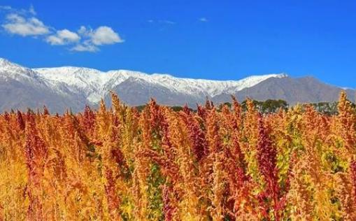 北京：“忙”有所获“种”有所得