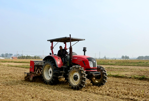 郯城县归昌乡稻茬小麦播种掀高潮