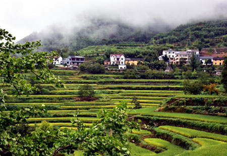 生态文明建设擦亮绿色发展底色