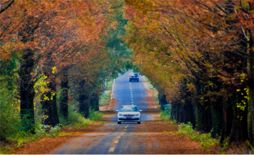 驾游安徽一起来！2020安徽自驾游大会开幕在即