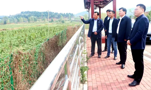 张庆功到泉源镇督导脱贫攻坚、信访维稳工作