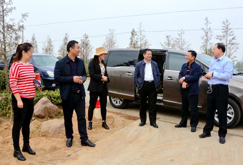 郯城县副县长李晓法到归昌乡检查水稻收割进展情况