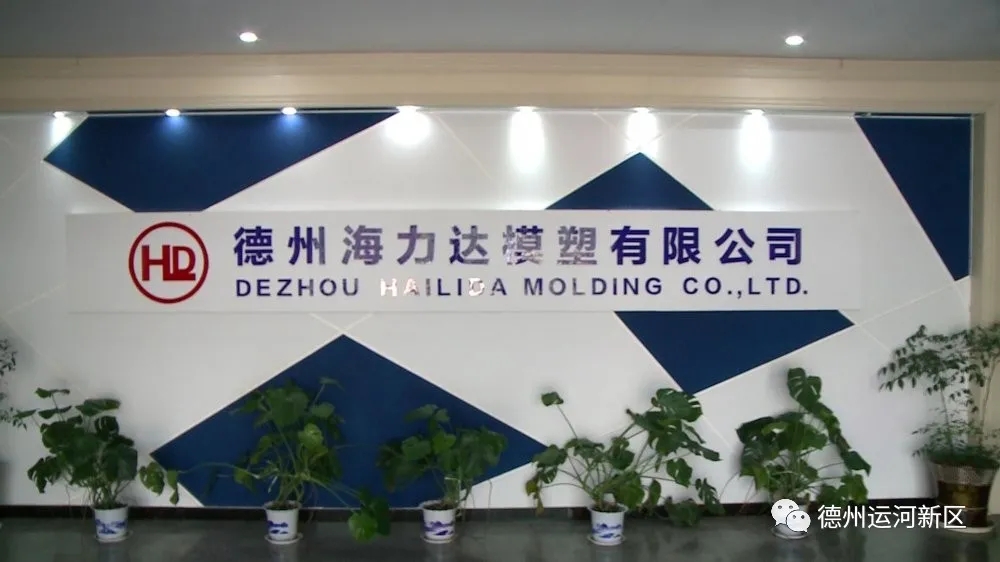 德州海力达模塑有限公司：创新驱动 引领企业高质量发展