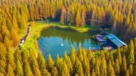 长三角地区职工疗休养基地互认共享