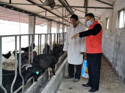 沂南农商银行：“家庭农场贷”助农唱响“田园牧歌”