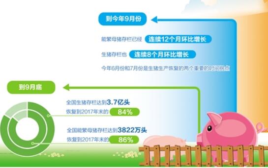 生猪产量持续恢复 产业转型压力犹存