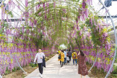 产品类型不断增多 乡村旅游越来越红火