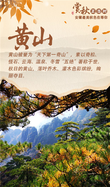 赏秋正当时！安徽最美秋色在等你