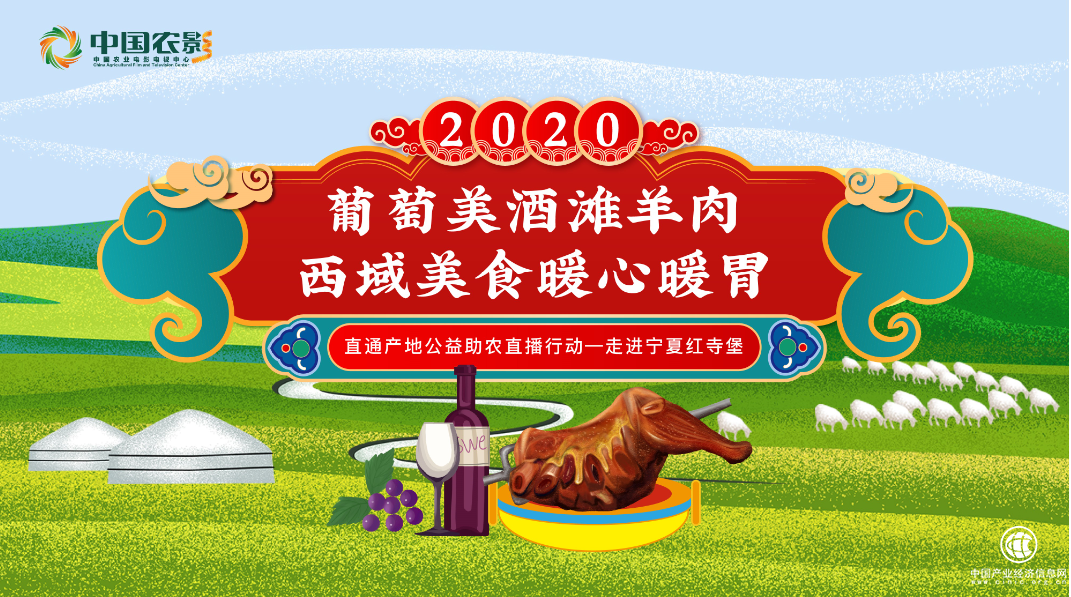 “中国向上，直通产地，走进宁夏红寺堡” 2020中国农影公益助农直播行动圆满结束