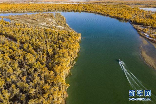 20201030085827754.jpg 2.jpg