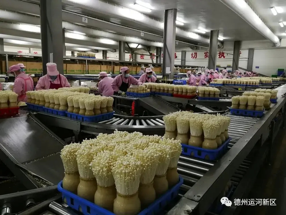 德州运河经济开发区 ： 聚焦主责主业 全力争先进位