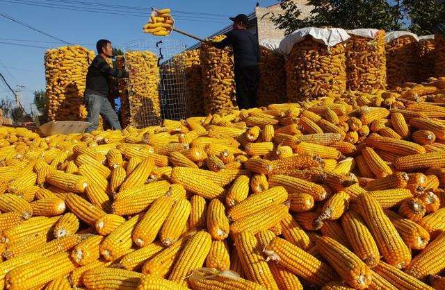 国家粮食和物资储备局：深入实施粮食产后节约减损行动