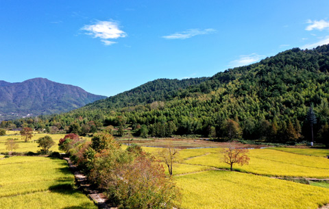 前9月安徽省优良天数比例达84.9%
