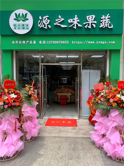 青岛即墨区温泉街道唐家庄遴选书记 乡村振兴有道道