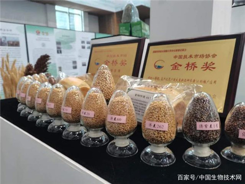 20201101135124986.jpg 2.jpg