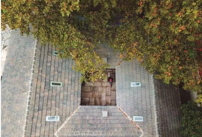 20201102185604208.jpg 20201102185604208.jpg