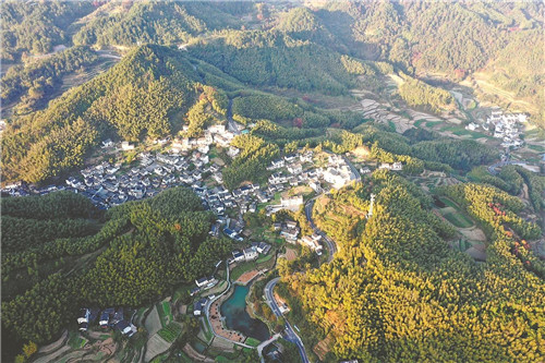 美丽乡村景如画