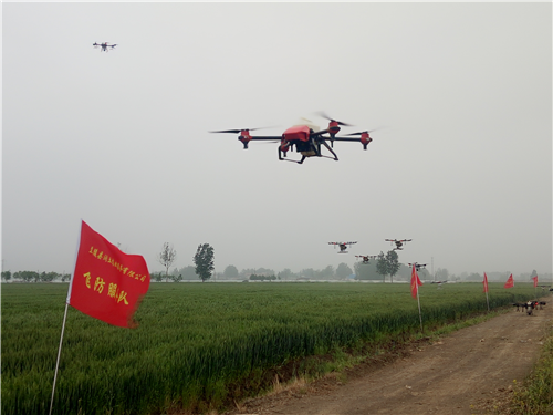 兰陵县农业农村局多措并举保障粮食生产安全